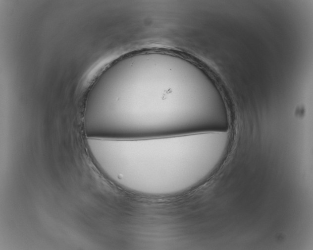X0000110871359200906180959