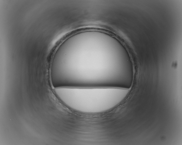 X0000110871360200906180959