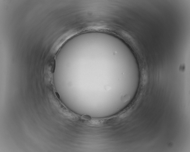 X0000110871361200906180959