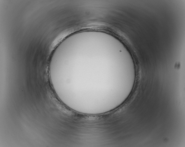 X0000110871362200906180959
