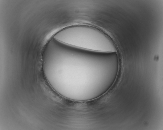 X0000110871363200906180959