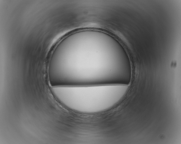 X0000110871364200906180959