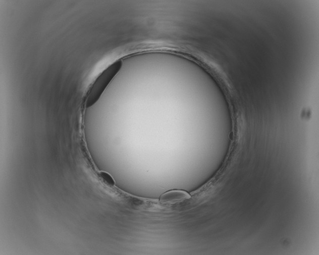 X0000110871365200906180959