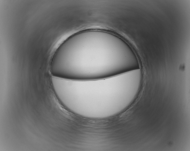 X0000110871367200906180959