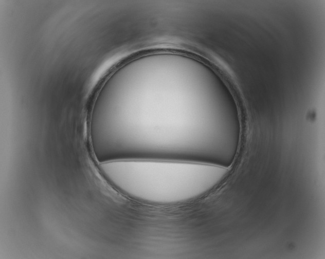 X0000110871368200906180959