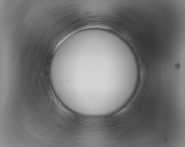 X0000110871369200906180959