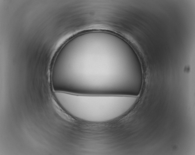X0000110871372200906180959