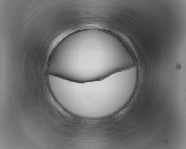 X0000110871373200906180959