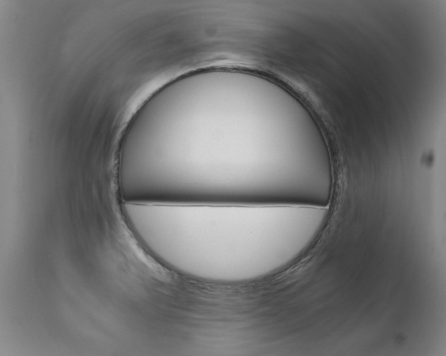 X0000110871375200906180959