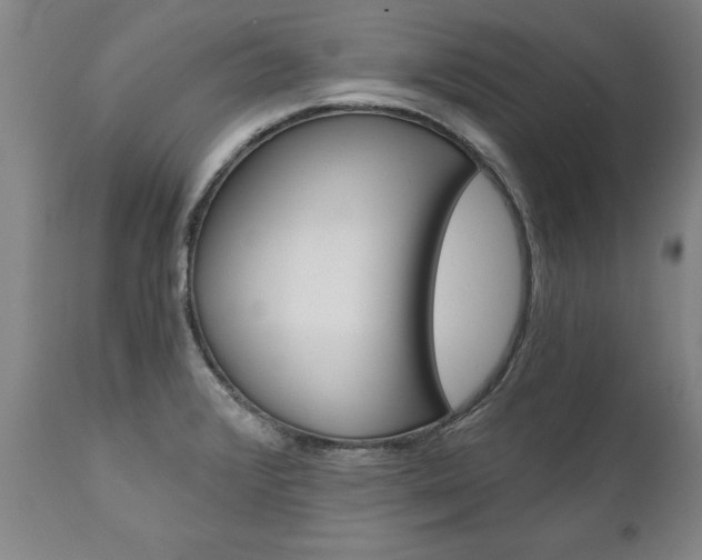 X0000110871376200906180959