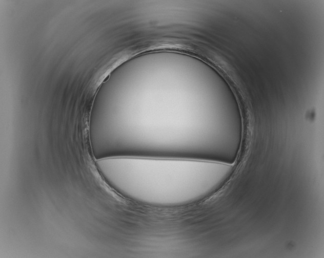 X0000110871377200906180959