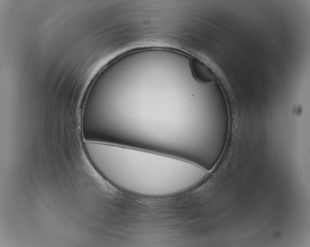 X0000110871380200906180959