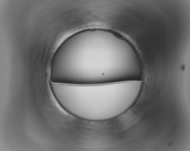 X0000110871383200906180959