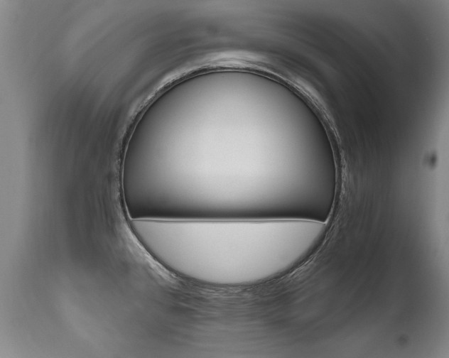 X0000110871384200906180959