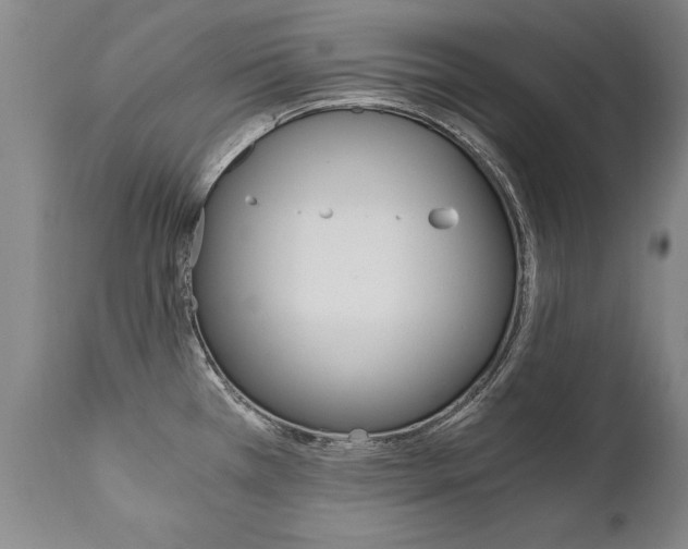 X0000110871385200906180959