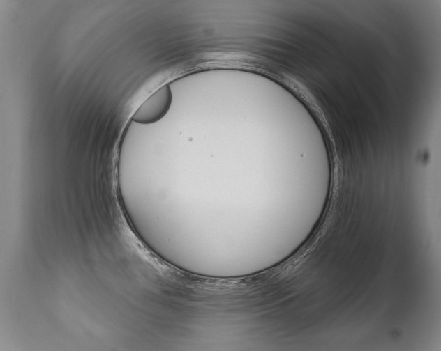 X0000110871386200906180959