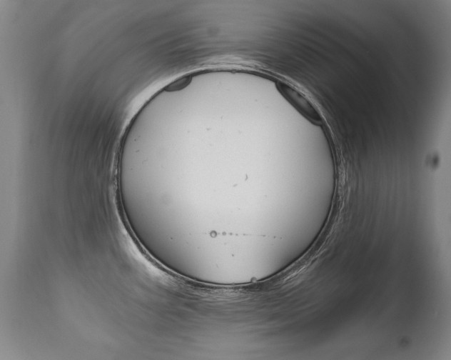 X0000110871387200906180959