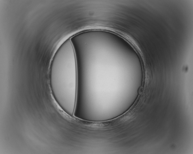 X0000110871388200906180958