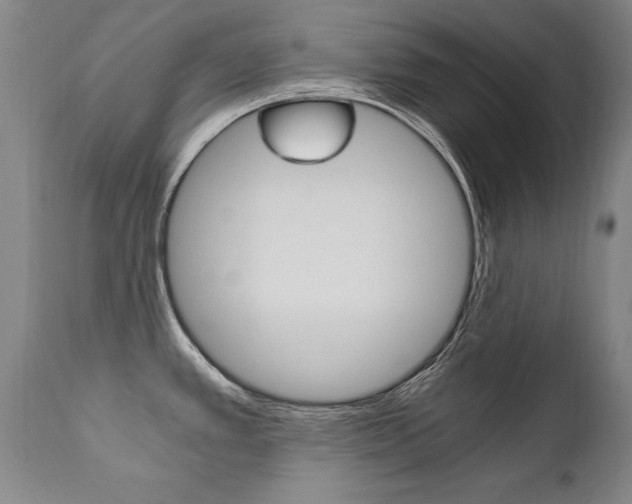 X0000110871389200906180958