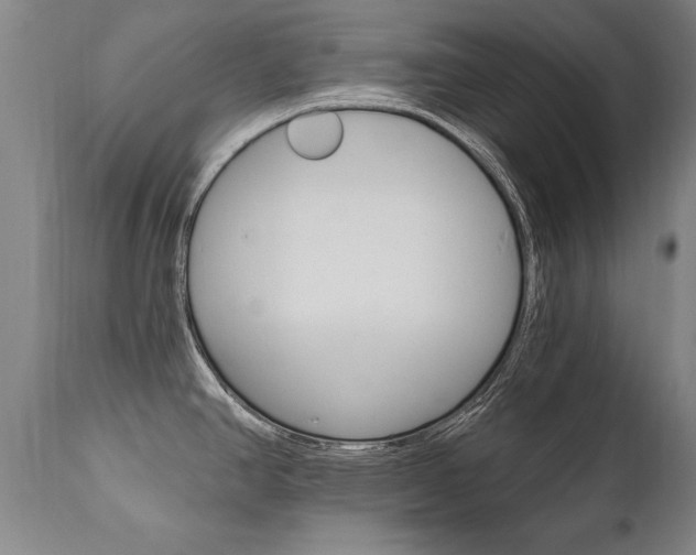 X0000110871390200906180958