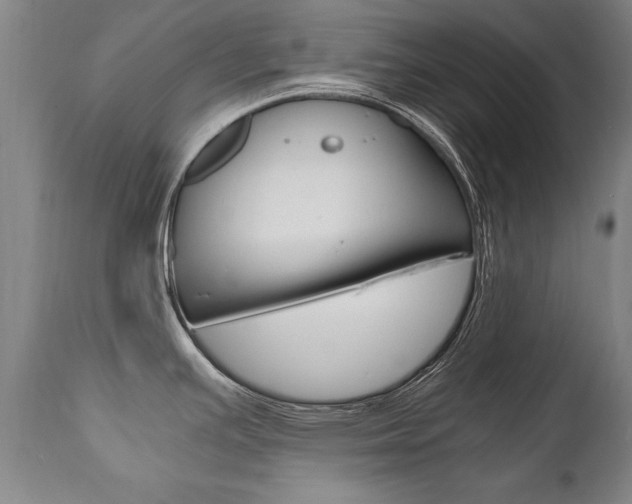 X0000110871391200906180958