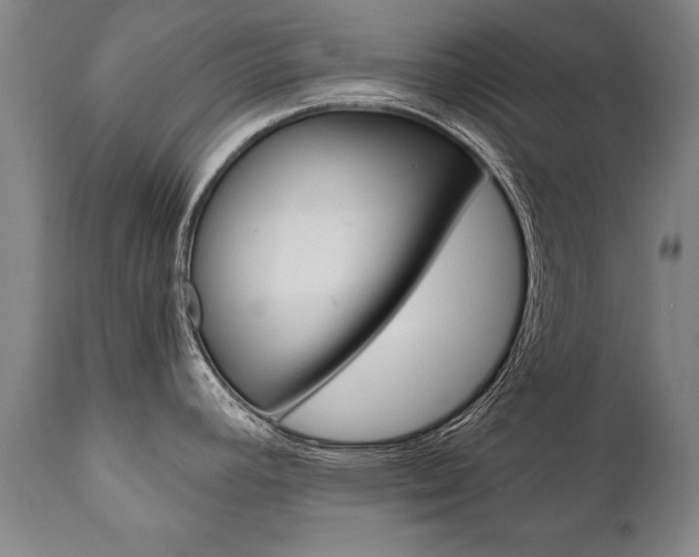 X0000110871392200906180958