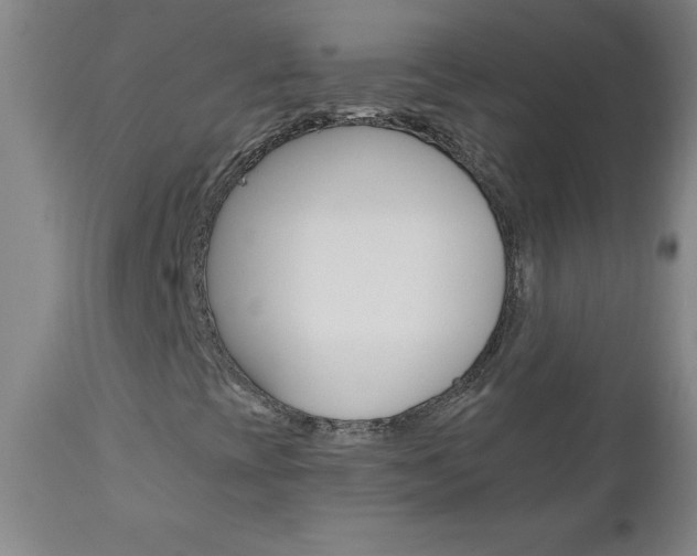 X0000110871393200906180958