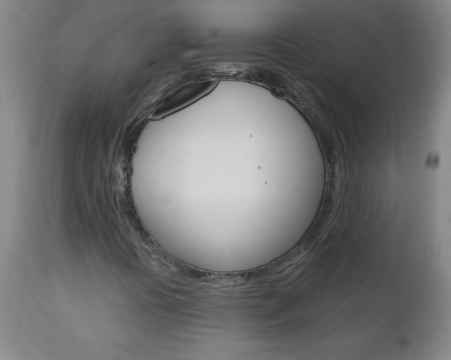 X0000110871394200906180958