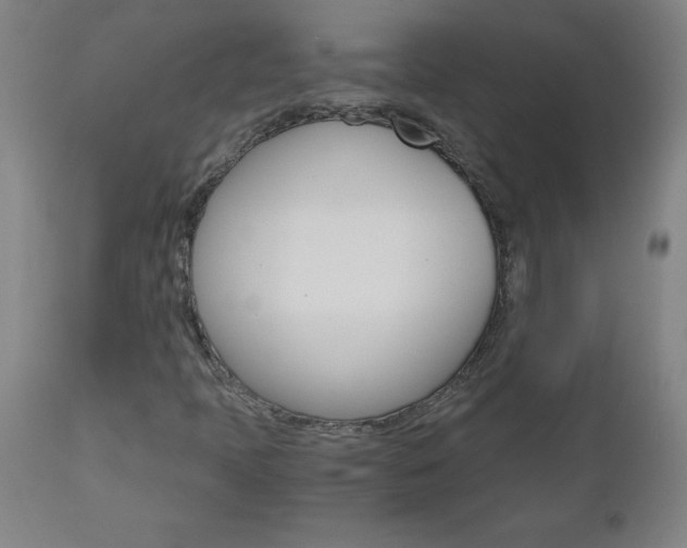 X0000110871397200906180958
