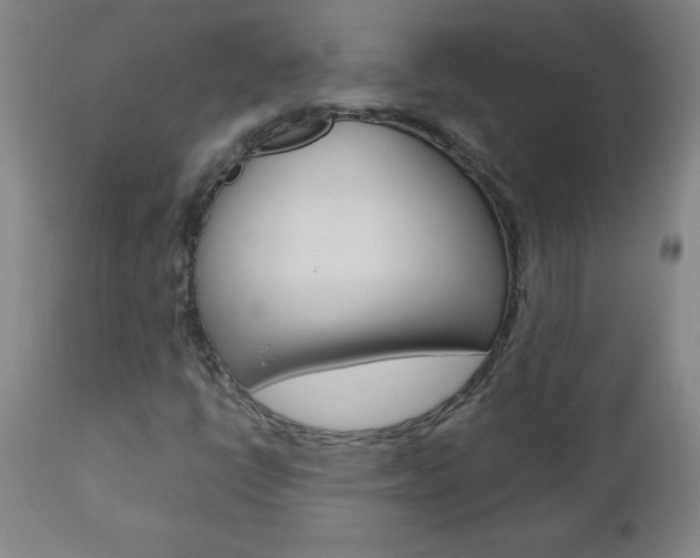 X0000110871398200906180958