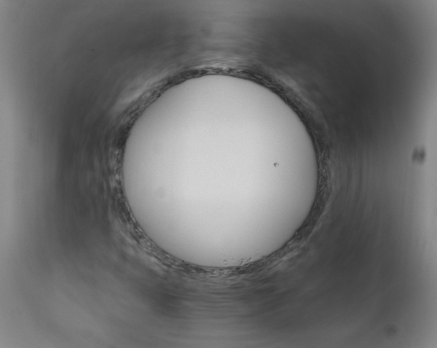 X0000110871399200906180958