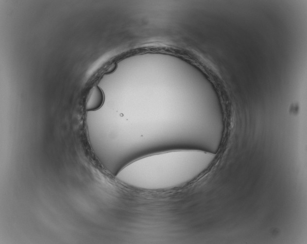 X0000110871400200906180958