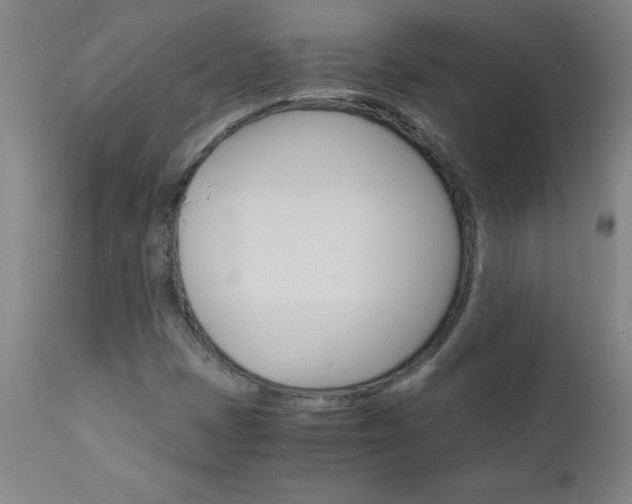 X0000110871401200906180958