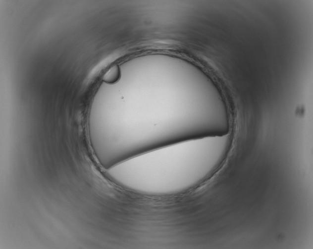 X0000110871402200906180958
