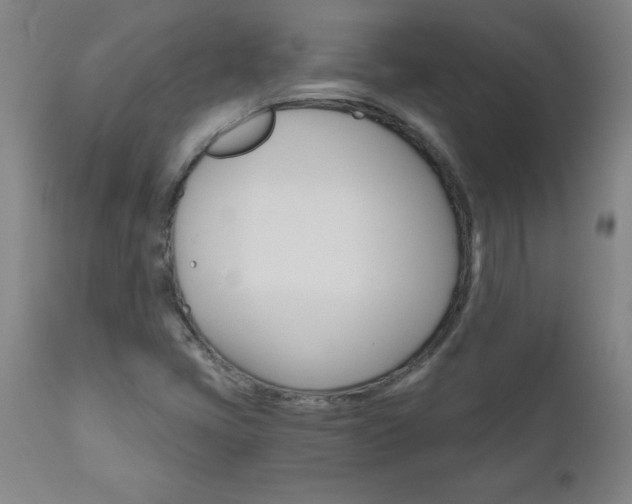 X0000110871405200906180958