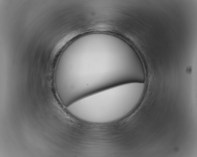 X0000110871410200906180958