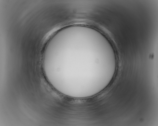 X0000110871411200906180958