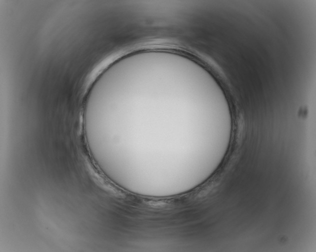 X0000110871413200906180958