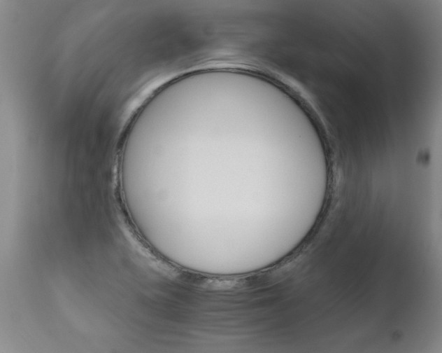 X0000110871415200906180958