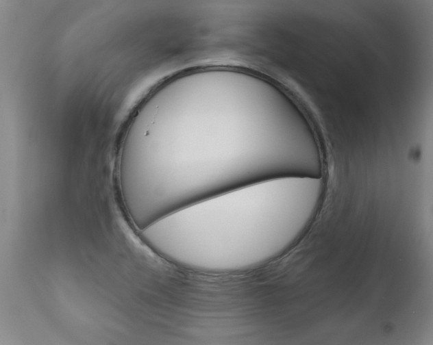 X0000110871416200906180958