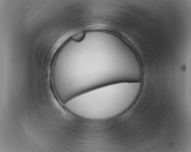X0000110871418200906180958