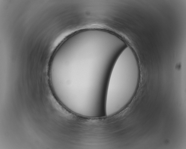 X0000110871422200906180958