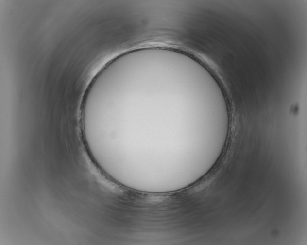 X0000110871423200906180958