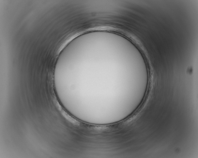 X0000110871425200906180958