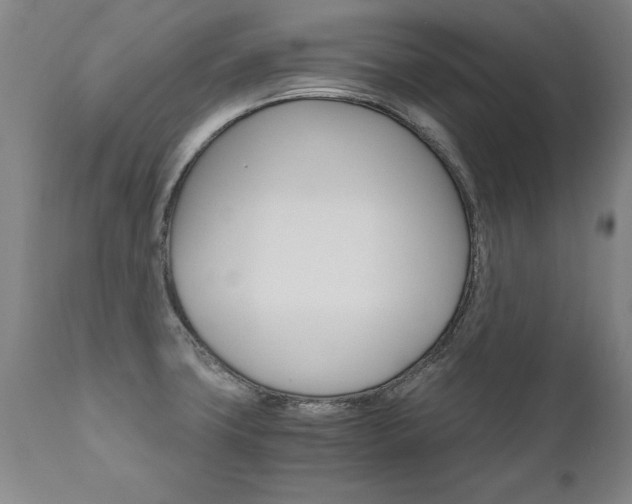 X0000110871427200906180958