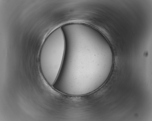 X0000110871428200906180958