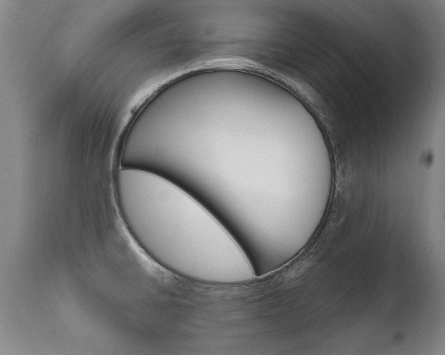 X0000110871430200906180958