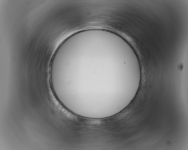 X0000110871431200906180958