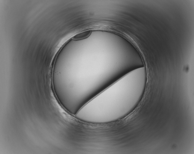 X0000110871434200906180958