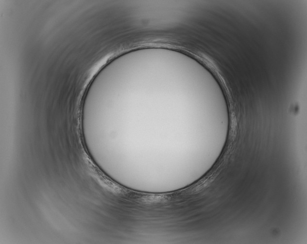 X0000110871435200906180958